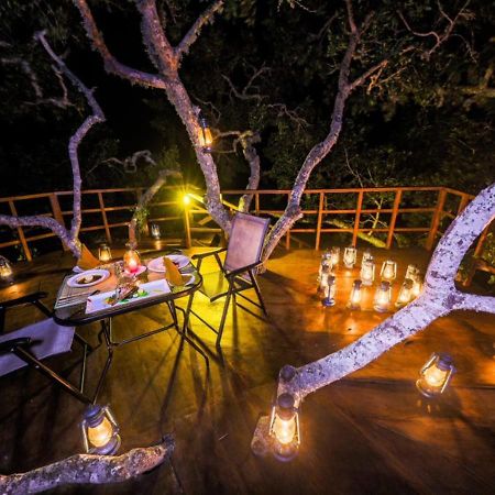 Tribe Yala - Luxury Camping Eksteriør billede