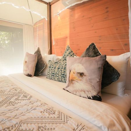 Tribe Yala - Luxury Camping Eksteriør billede