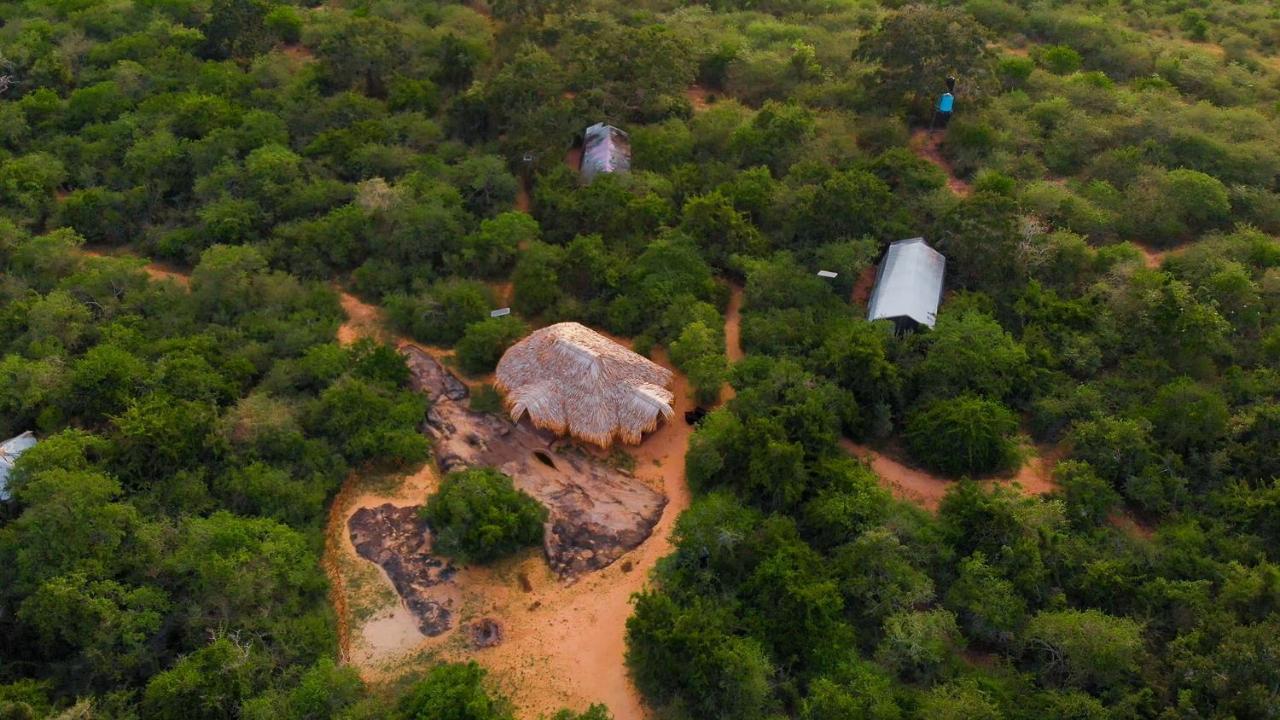 Tribe Yala - Luxury Camping Eksteriør billede