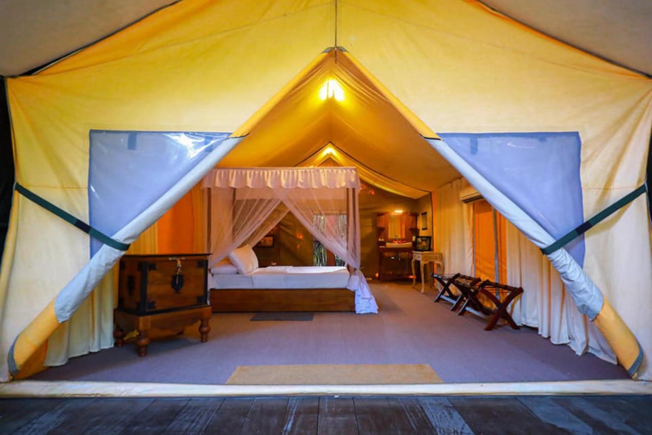 Tribe Yala - Luxury Camping Eksteriør billede