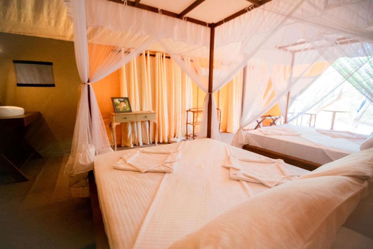 Tribe Yala - Luxury Camping Eksteriør billede