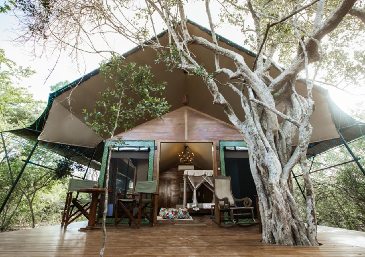 Tribe Yala - Luxury Camping Eksteriør billede