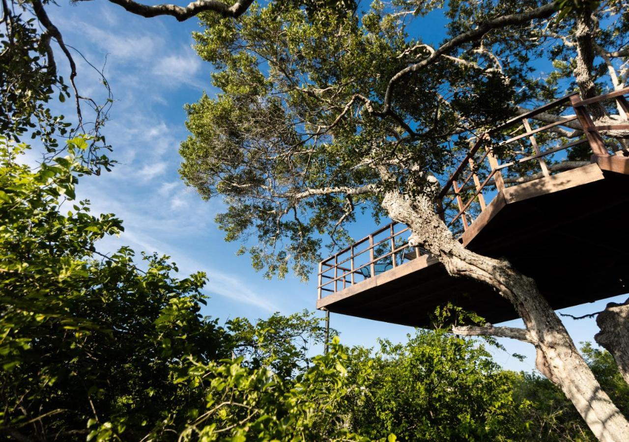 Tribe Yala - Luxury Camping Eksteriør billede