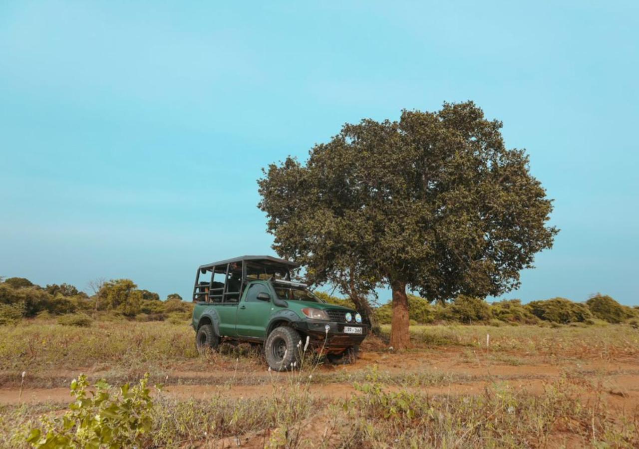 Tribe Yala - Luxury Camping Eksteriør billede
