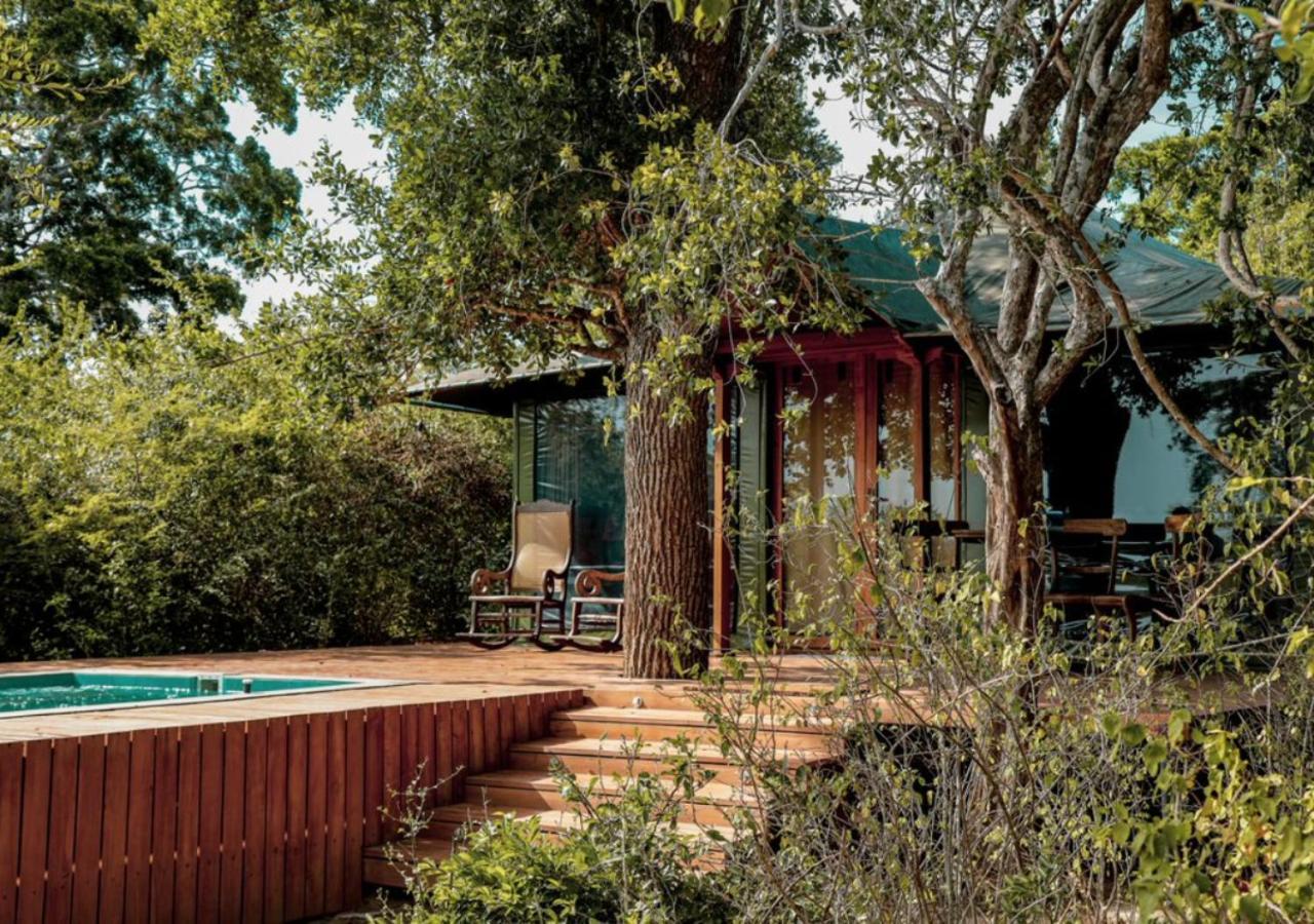Tribe Yala - Luxury Camping Eksteriør billede