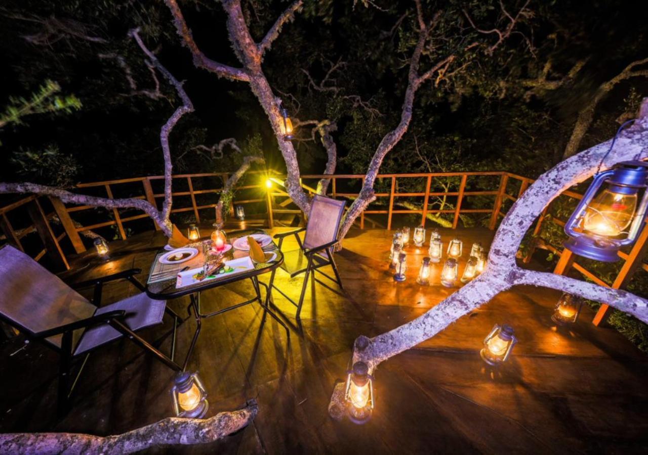 Tribe Yala - Luxury Camping Eksteriør billede