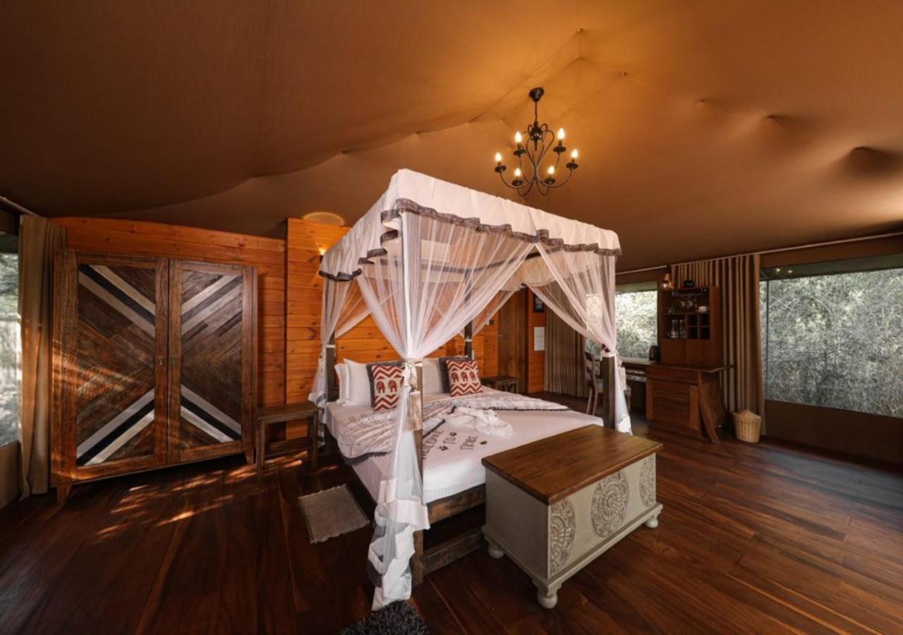 Tribe Yala - Luxury Camping Eksteriør billede