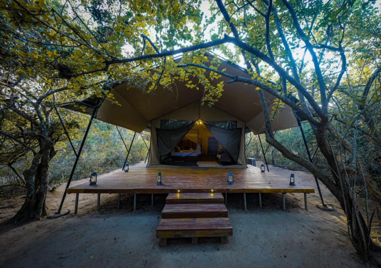 Tribe Yala - Luxury Camping Eksteriør billede