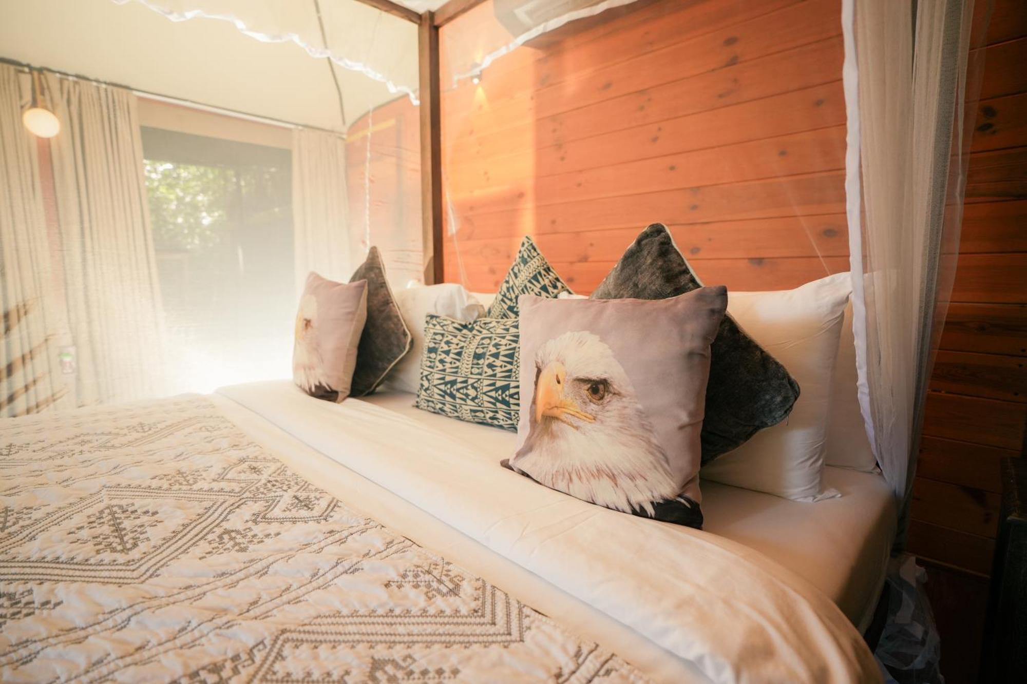 Tribe Yala - Luxury Camping Eksteriør billede